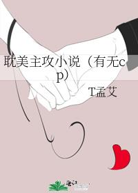 耽美主攻小说（有无cp）