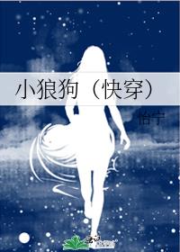 小狼狗（快穿）
