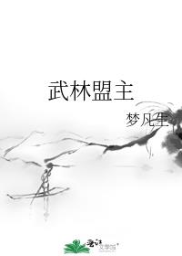 武林盟主