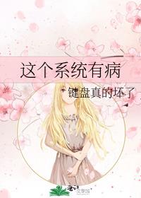 这个系统有病