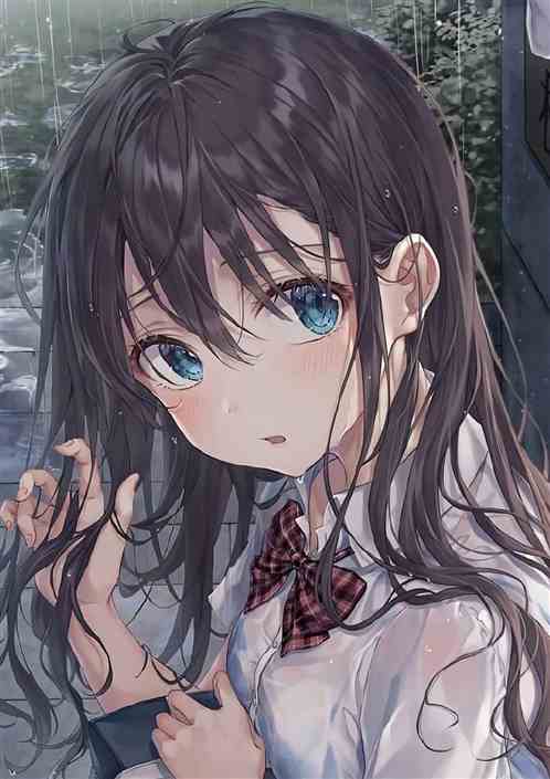 于樱花绽放之时