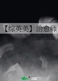 【综英美】治愈师