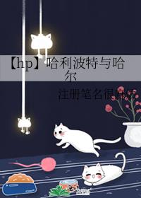 【hp】哈利波特与哈尔