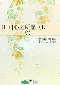 [HP]心之所愿（LV）
