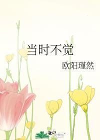 当时不觉