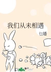 我们从未相遇