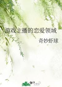 游戏主播的恋爱领域