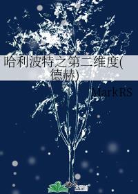 哈利波特之第二维度(德赫)