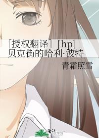 ［授权翻译］[hp]贝克街的哈利·波特