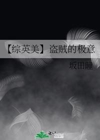 【综英美】盗贼的极意