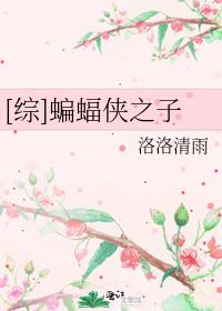 [综]蝙蝠侠之子