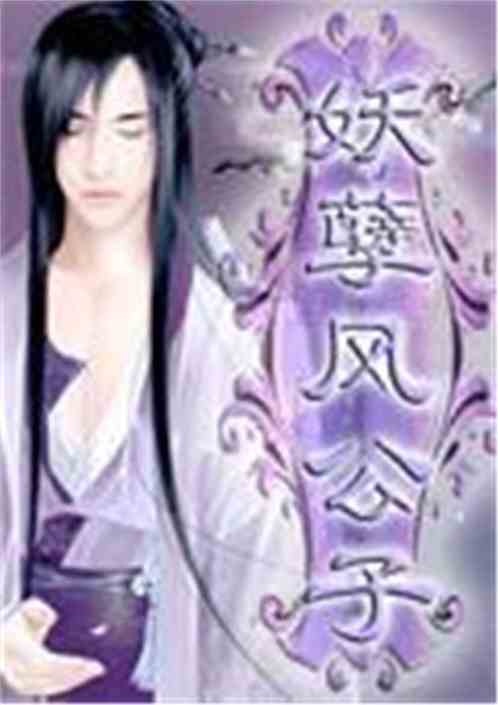 妖孽风公子