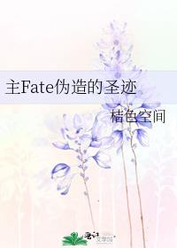 主Fate伪造的圣迹
