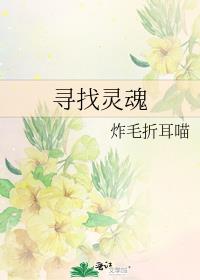 寻找灵魂