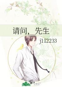 请问，先生