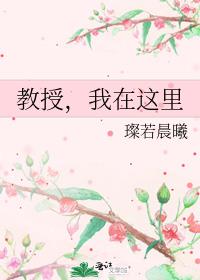 教授，我在这里