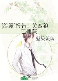 [综漫]报告！关西狼已捕获