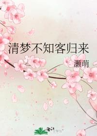 清梦不知客归来