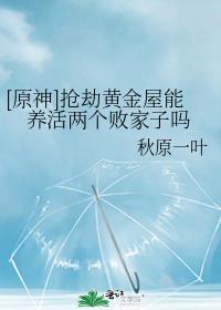 [原神]抢劫黄金屋能养活两个败家子吗