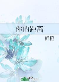 你的距离