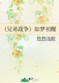 （兄弟战争）如梦初醒