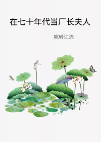 七十年代小女工升职记