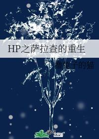 HP之萨拉查的重生