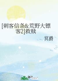 [刺客信条&荒野大镖客2]救赎