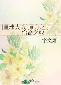 [星球大战]原力之子，宿命之奴