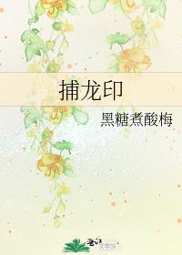 捕龙印