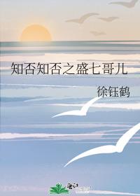知否知否之盛七哥儿