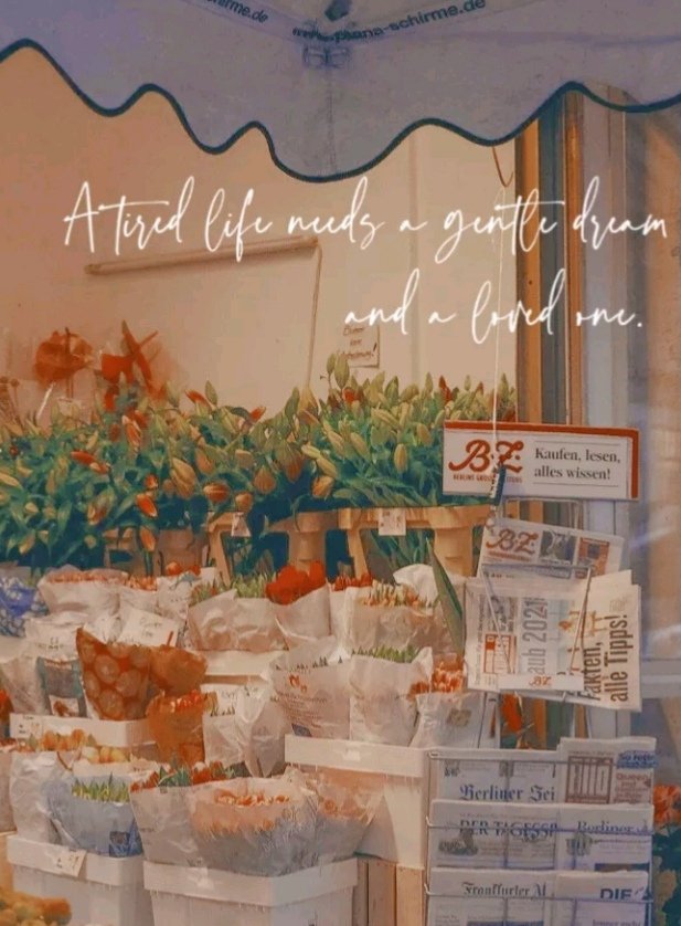 [家教]身为逼王的我和狱寺HE了