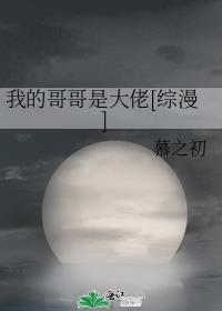 我的哥哥是大佬[综漫]