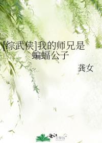 [综武侠]我的师兄是蝙蝠公子