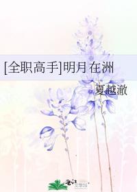 [全职高手]明月在洲