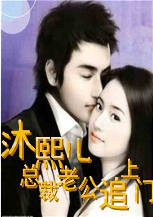 沐熙儿总裁老公追上门