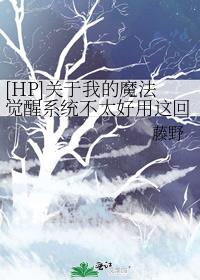 [HP]关于我的魔法觉醒系统不太好用这回事