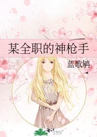 某全职的神枪手