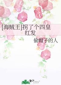 [海贼王]拐了个四皇红发