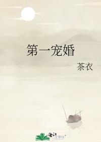 第一宠婚