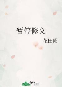 暂停修文