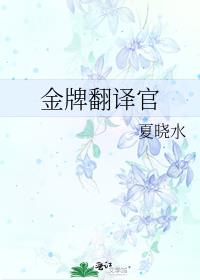 金牌翻译官