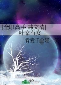 [全职高手 韩文清]叶家有女
