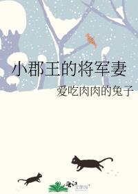 小郡王的将军妻