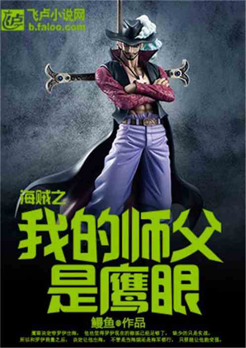海贼之我的师父是鹰眼