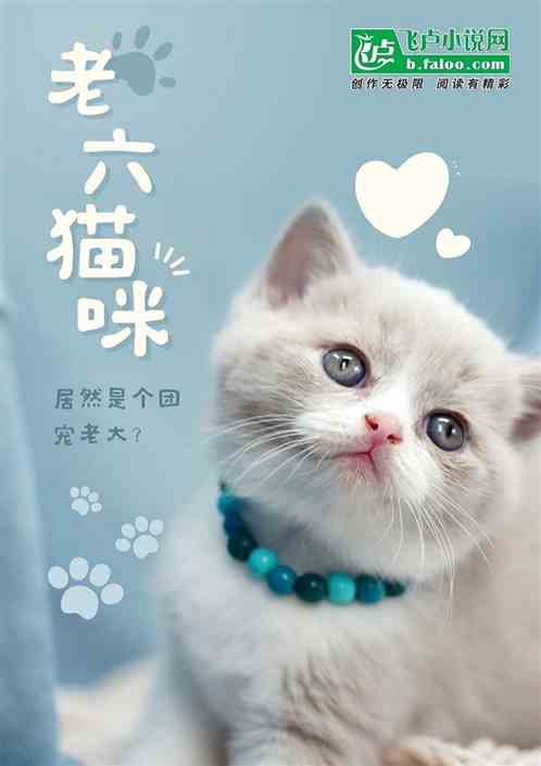 直播：老六猫咪居然成行业大哥大