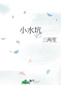 小水坑