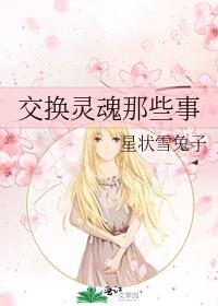 交换灵魂那些事