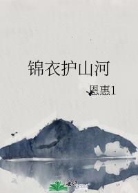 锦衣护山河
