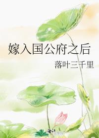 嫁入国公府之后